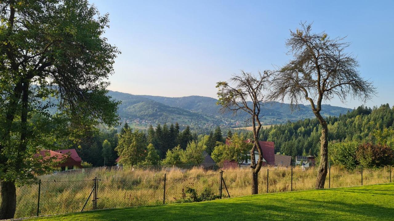 Dom Na Szewcowej Polanie Hotel Pewel Wielka Kültér fotó